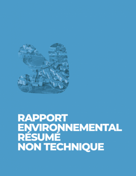Rapport